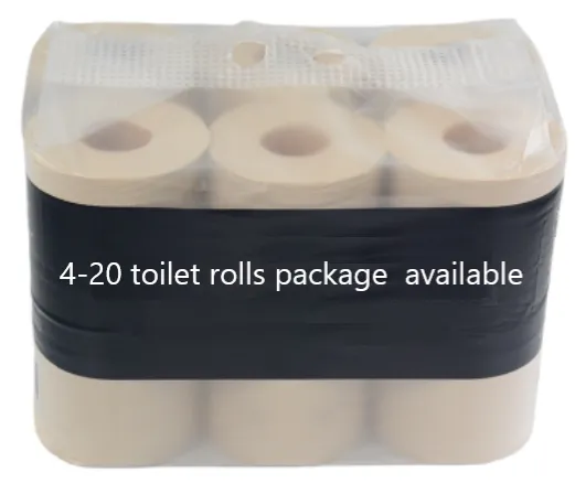 Revolutionieren Sie Ihre Fertigung mit unserer fortschrittlichen Toilettenpapier-Produktionslinie 2